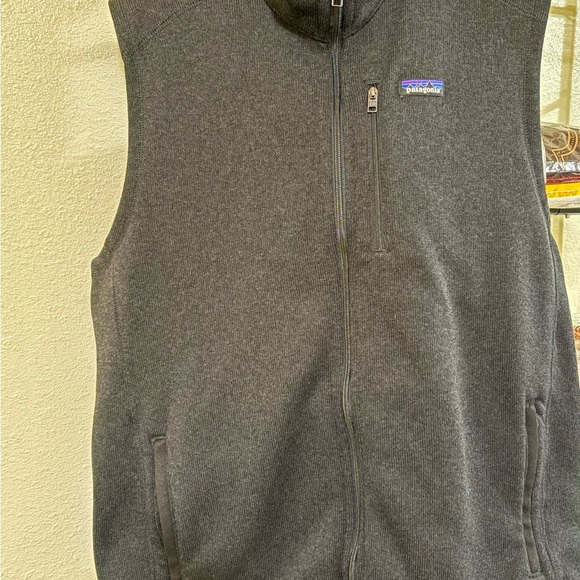 Patagonia Other - Patagonia Men's Charcoal Vest